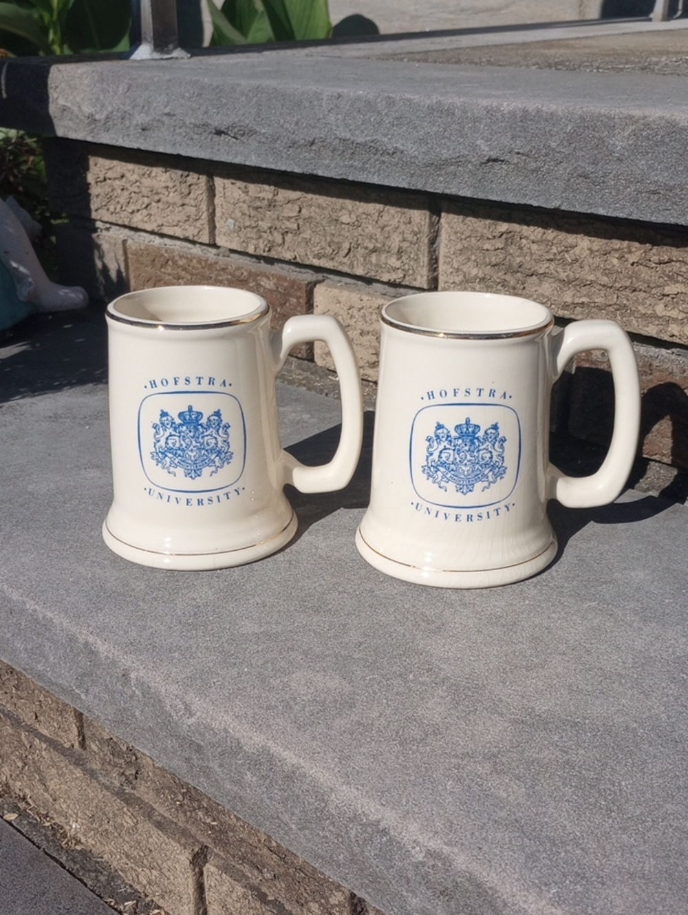 2 Hofstra University Vintage Class of 1940, 30th Anniversary Ceramic Beer Steins